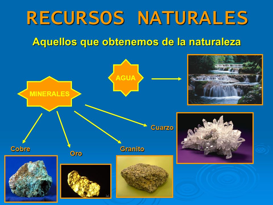 Recursos de la naturaleza Los recursos naturales son los recursos que nos brinda la naturaleza y no tienen modificaciones del ser humano, los recursos naturales son muy importantes para el desarrollo y la existencia del ser humano, sin ellos no podríamos vivir.